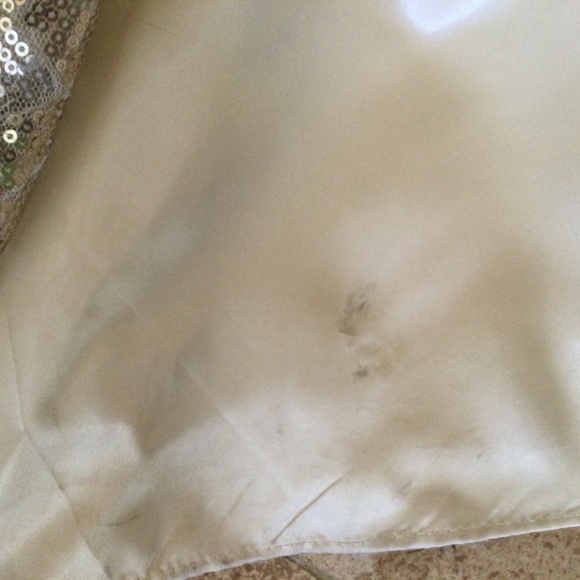 Cire’ Strapless or Halter Silver and Champagne sequine gown, size 4 - Picture 13 of 14